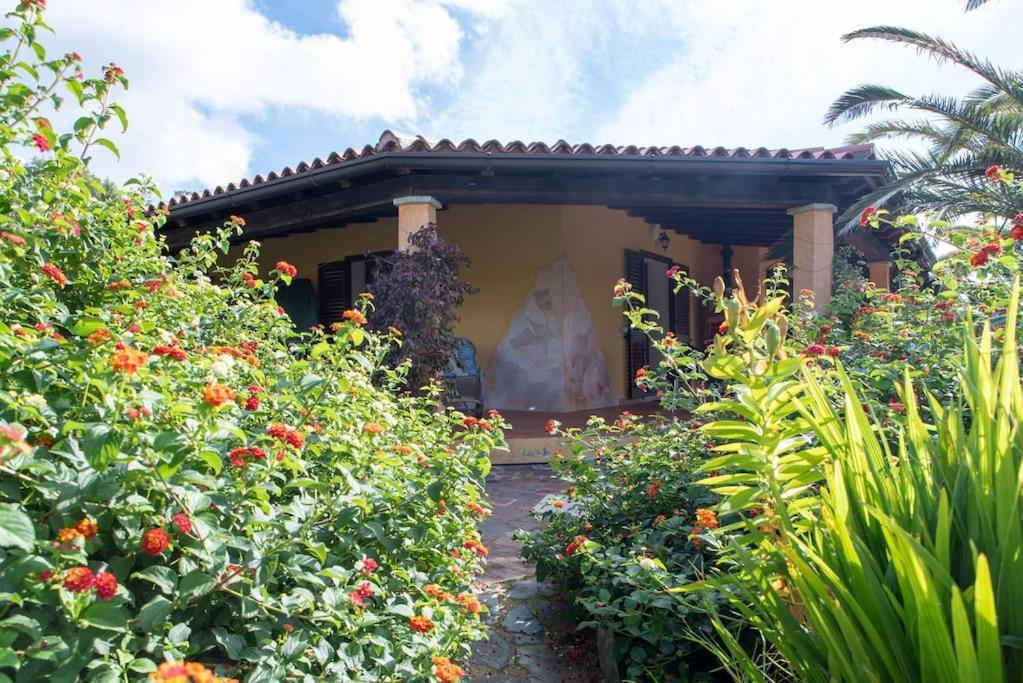 Residence Villa Smeralda Telti Exterior foto